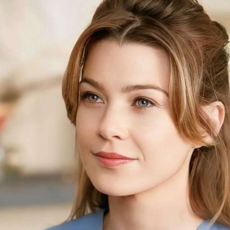 Talkie Profile Meredith Grey Talkie Ai