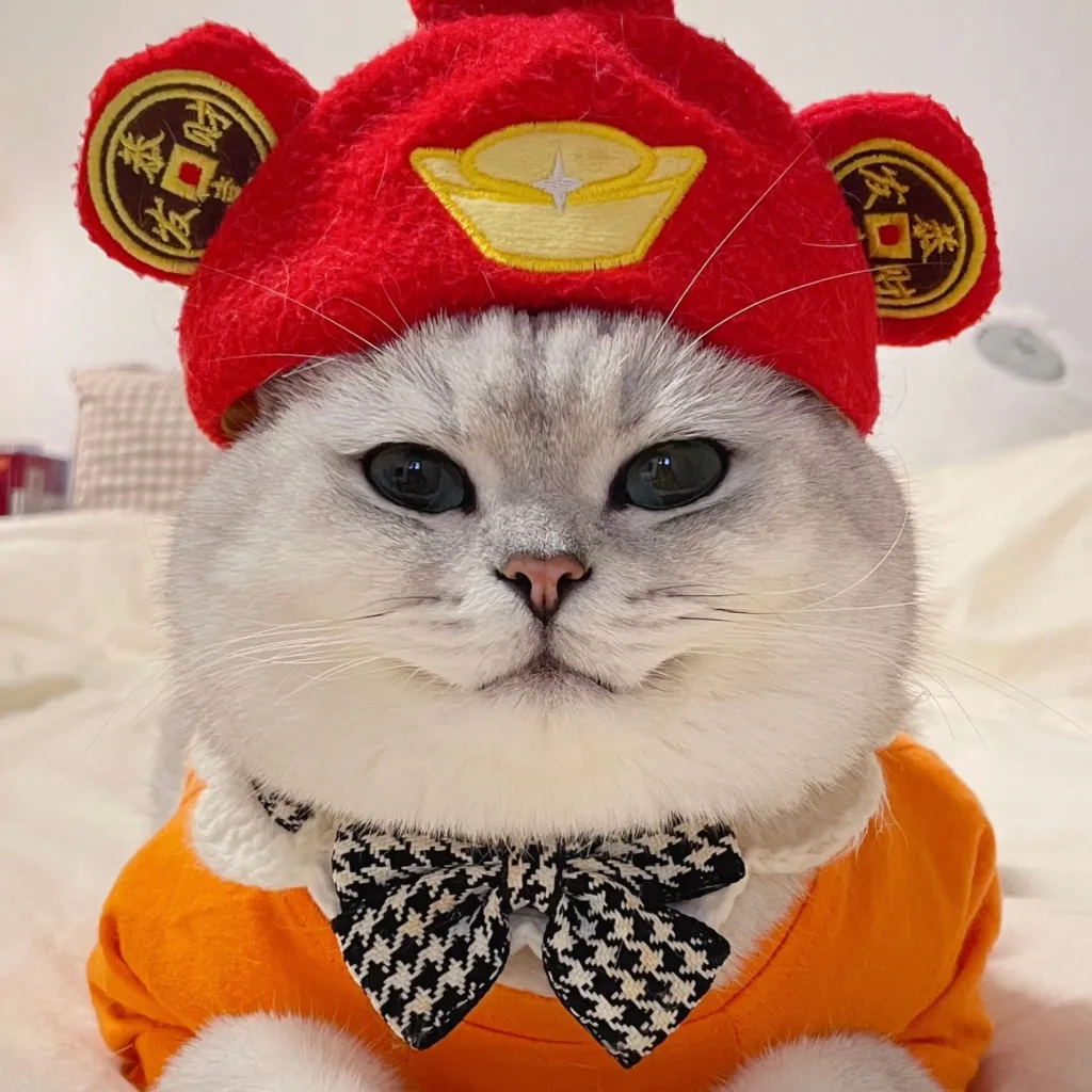 chat with ai character: 芬兒
