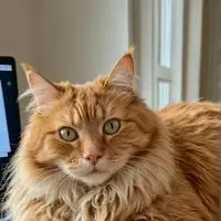 chat with ai character: PawsMcFly