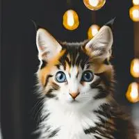 chat with ai character: BitBit
