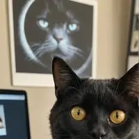 chat with ai character: Pixel