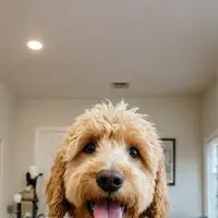 chat with ai character: Bitmoji