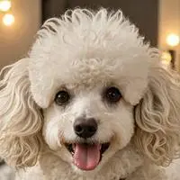 chat with ai character: Poppy