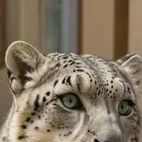 chat with ai character: Floofball McHuggington
