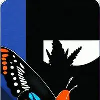 chat with ai character: Flutter Spirit