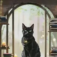 chat with ai character: Midnight