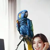 chat with ai character: Bitmoji