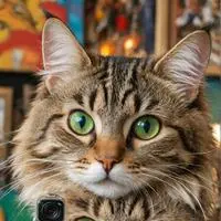 chat with ai character: GatitoPeruano