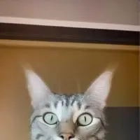 chat with ai character: Estrella