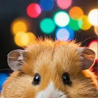 chat with ai character: Hammy