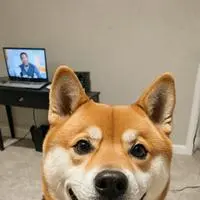 chat with ai character: Pixel