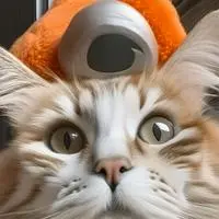chat with ai character: Orb