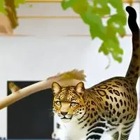 chat with ai character: Leopard Leap Spirit
