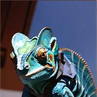 chat with ai character: Gizmo