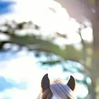 chat with ai character: Bronco