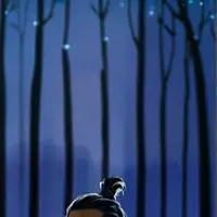 chat with ai character: Samson