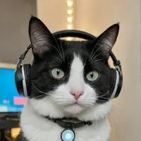 chat with ai character: Data