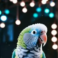 chat with ai character: Tweet
