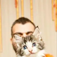 chat with ai character: Clicky