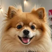 chat with ai character: Pixel