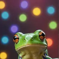 chat with ai character: Ribbit