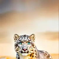 chat with ai character: Gem