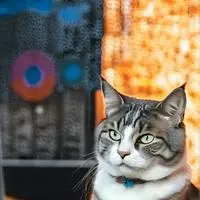 chat with ai character: Leo