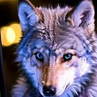 chat with ai character: Wander