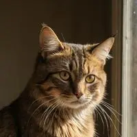 chat with ai character: Wina