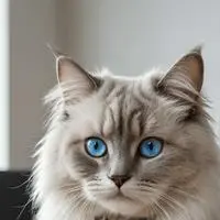 chat with ai character: (The typing kitty)