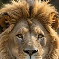 chat with ai character: Aslan Jesus