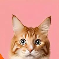 chat with ai character: TikTok