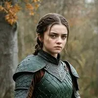 chat with ai character: Arya Stark