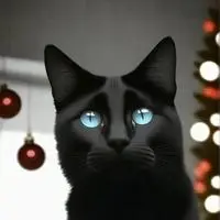chat with ai character: Midnight Marble