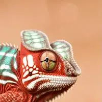 chat with ai character: camaleão