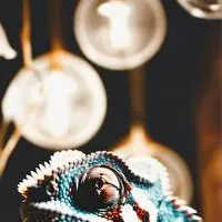 chat with ai character: teste não estre kk