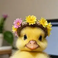 chat with ai character: Quack