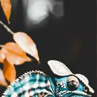 chat with ai character: Bitzy