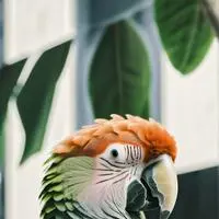 chat with ai character: Bitmoji