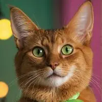 chat with ai character: Link