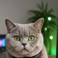 chat with ai character: Glitch