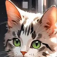 chat with ai character: SquishySocks