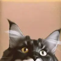 chat with ai character: RapThug Lionheart