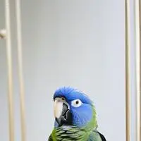 chat with ai character: Bitzy