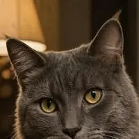 chat with ai character: Smokey