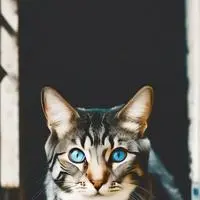 chat with ai character: Moonglitch