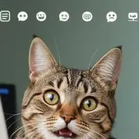 chat with ai character: Gif