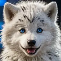 chat with ai character: Wolfie Whim