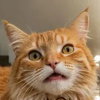 chat with ai character: Mousey