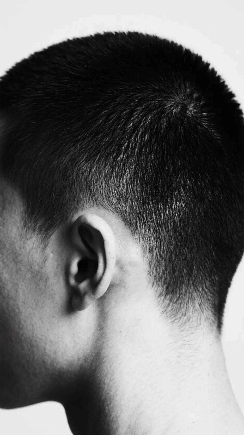 ai character: 𝗔𝗹𝘃𝗶𝗻 𝘁𝗵𝗲 𝗣𝗮𝘁𝗮𝗹 background